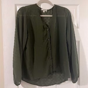 Sage green Nine Brittan translucent button up shirt from stitch fix